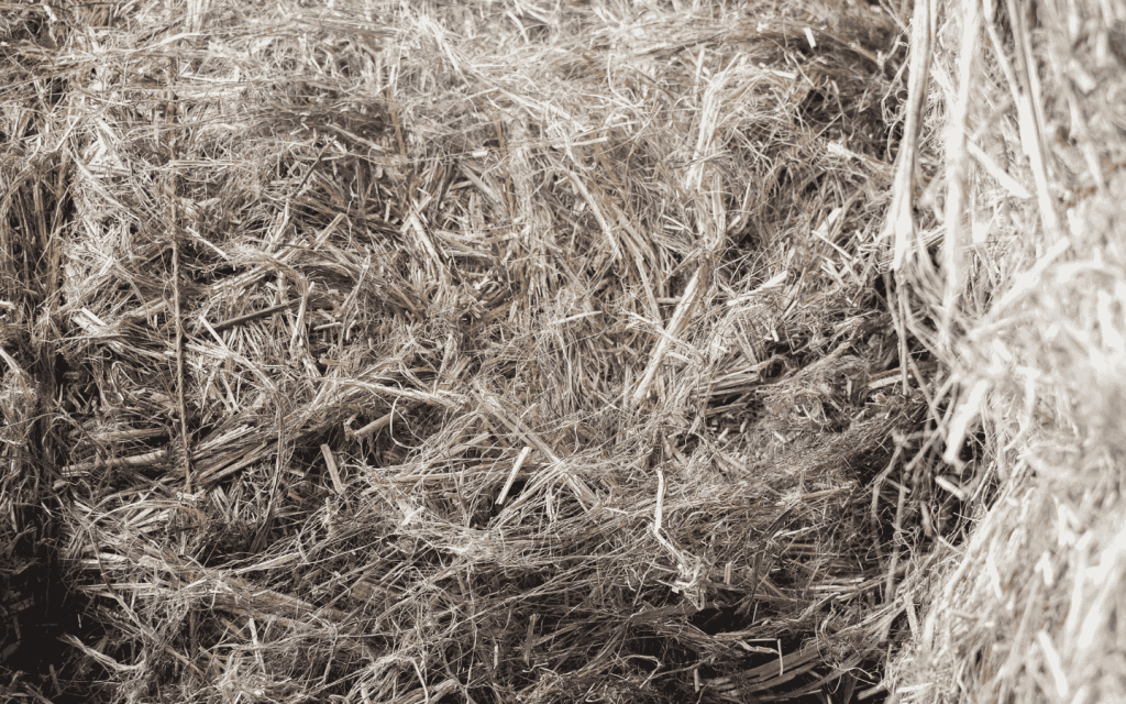 EUROCHANVRE - Fibre de chanvre